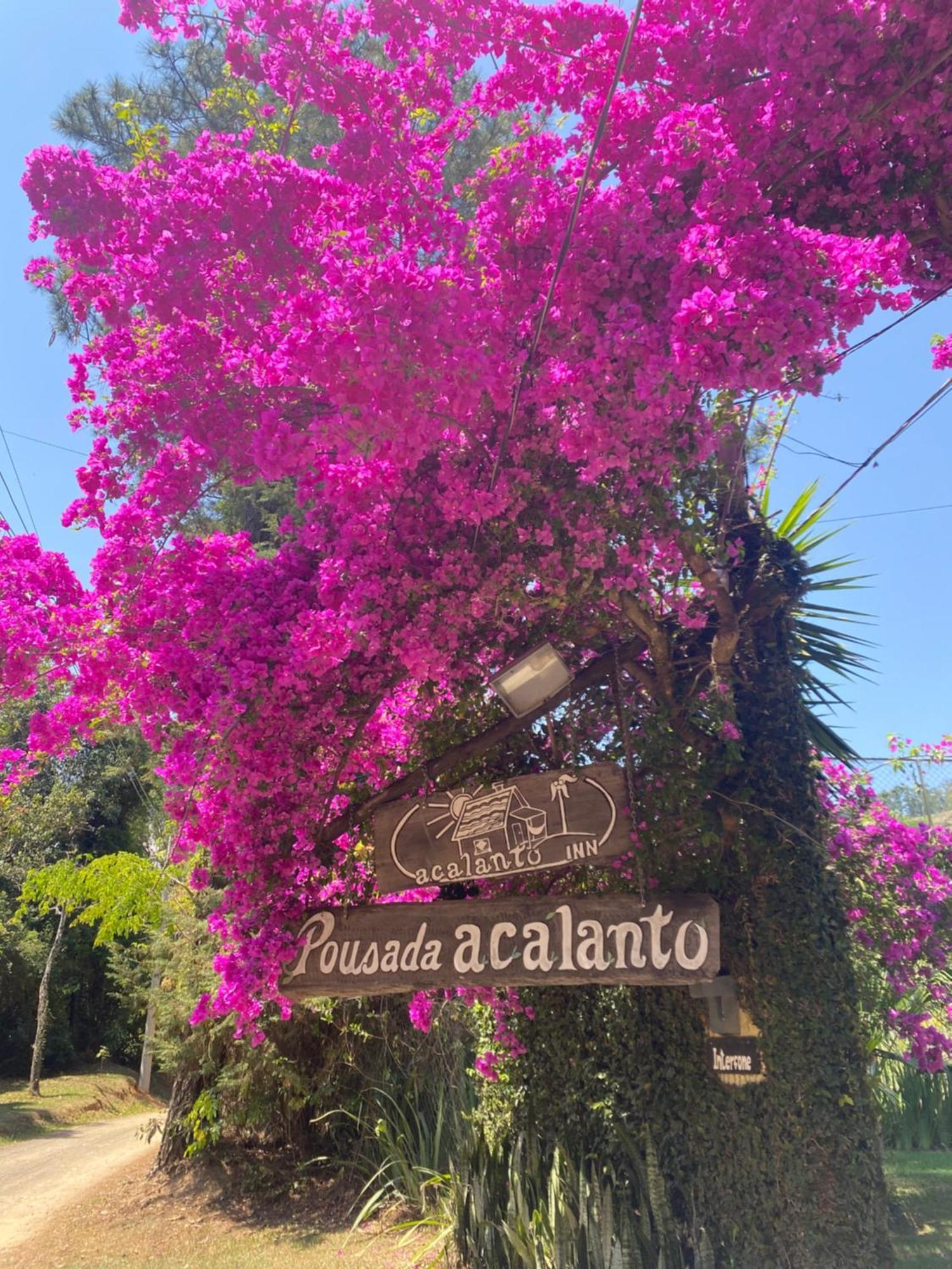 Acalanto Inn Socorro  Kültér fotó