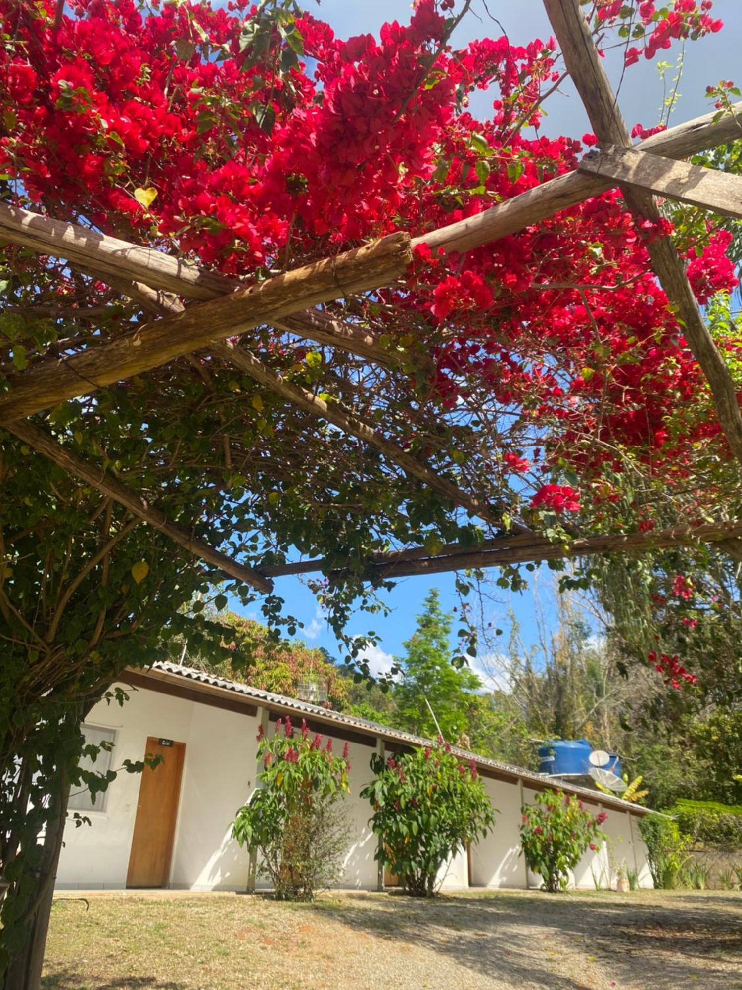Acalanto Inn Socorro  Kültér fotó